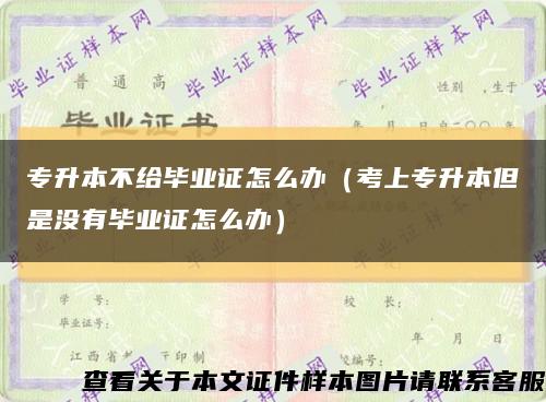 專升本不給畢業證怎么辦（考上專升本但是沒有畢業證怎么辦）縮略圖