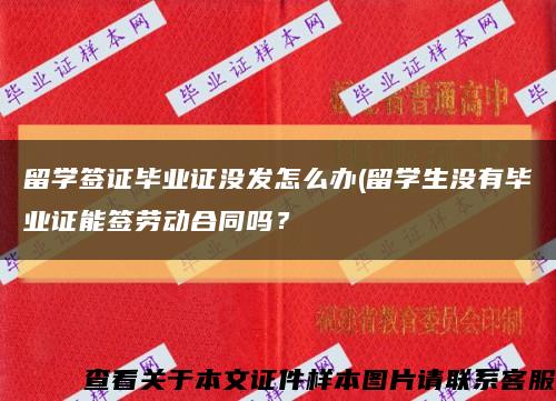 留學簽證畢業證沒發怎么辦(留學生沒有畢業證能簽勞動合同嗎？縮略圖