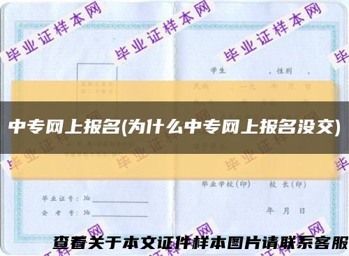 中專網上報名(為什么中專網上報名沒交)縮略圖