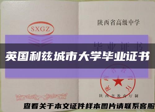 英國利茲城市大學畢業證書縮略圖
