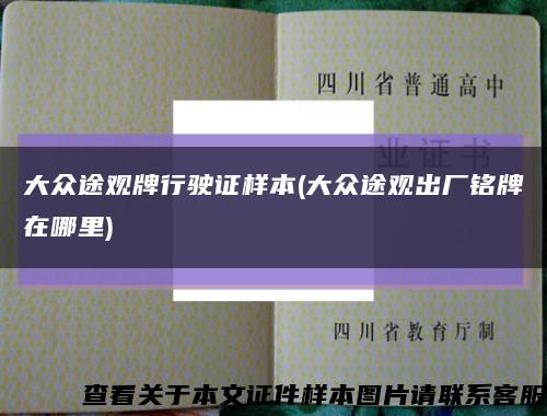 大眾途觀牌行駛證樣本(大眾途觀出廠銘牌在哪里)縮略圖