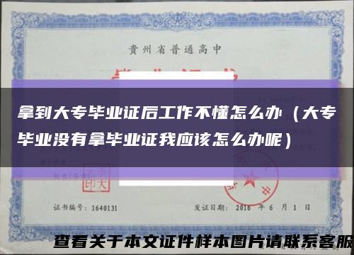 拿到大專畢業證后工作不懂怎么辦（大專畢業沒有拿畢業證我應該怎么辦呢）縮略圖