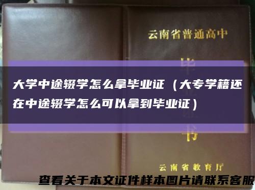 大學中途輟學怎么拿畢業證（大專學籍還在中途輟學怎么可以拿到畢業證）縮略圖