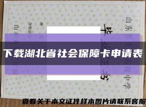 下載湖北省社會保障卡申請表縮略圖