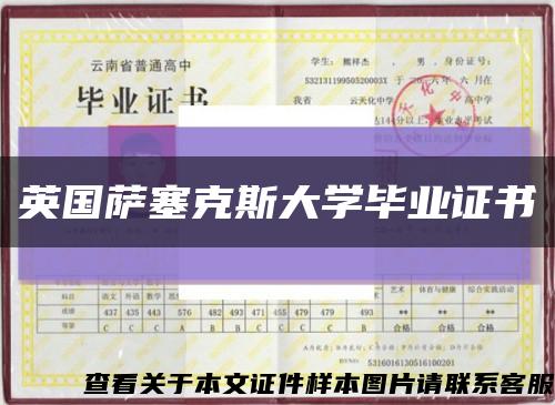 英國薩塞克斯大學畢業證書縮略圖