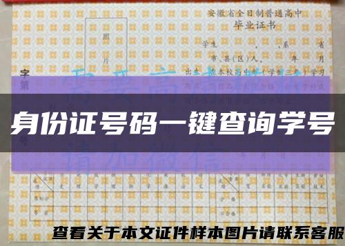 身份證號碼一鍵查詢學號縮略圖