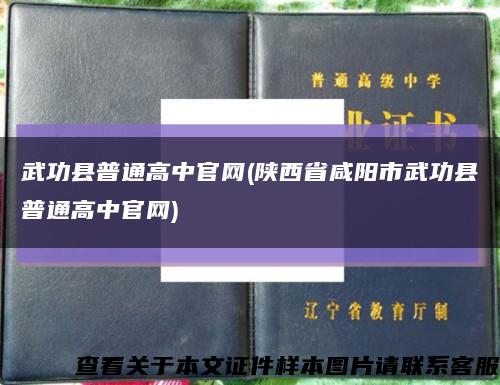 武功縣普通高中官網(陜西省咸陽市武功縣普通高中官網)縮略圖