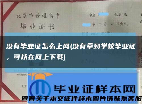 沒有畢業證怎么上網(沒有拿到學校畢業證，可以在網上下載)縮略圖