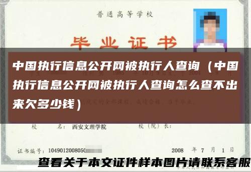 中國執行信息公開網被執行人查詢（中國執行信息公開網被執行人查詢怎么查不出來欠多少錢）縮略圖