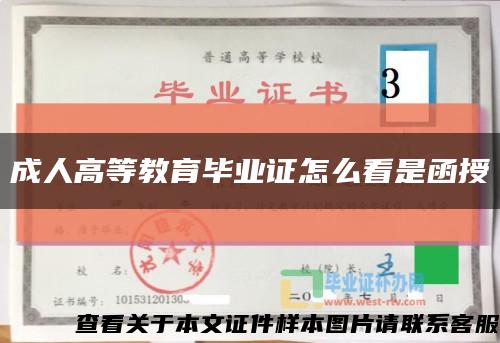 成人高等教育畢業證怎么看是函授縮略圖