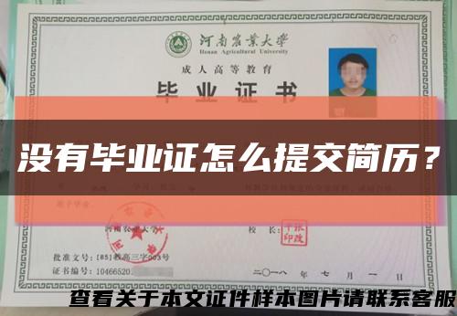 沒有畢業證怎么提交簡歷？縮略圖
