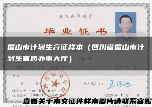 眉山市計劃生育證樣本（四川省眉山市計劃生育網辦事大廳）縮略圖