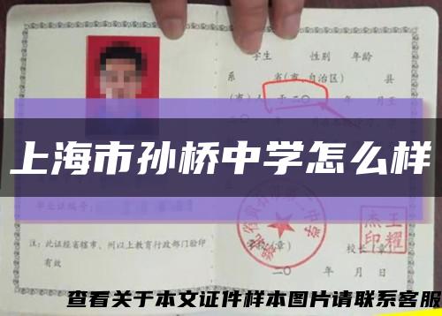 上海市孫橋中學怎么樣縮略圖