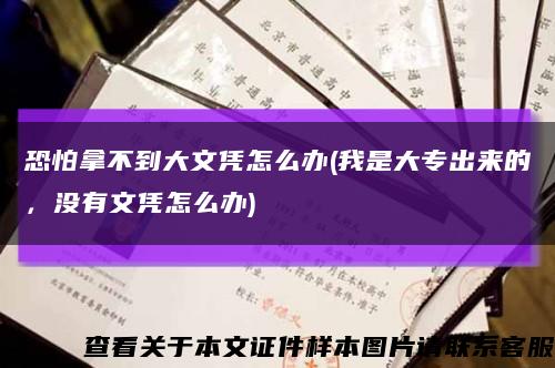恐怕拿不到大文憑怎么辦(我是大專出來的，沒有文憑怎么辦)縮略圖