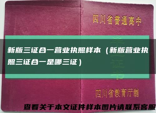 新版三證合一營業執照樣本（新版營業執照三證合一是哪三證）縮略圖