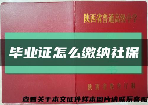 畢業證怎么繳納社?？s略圖