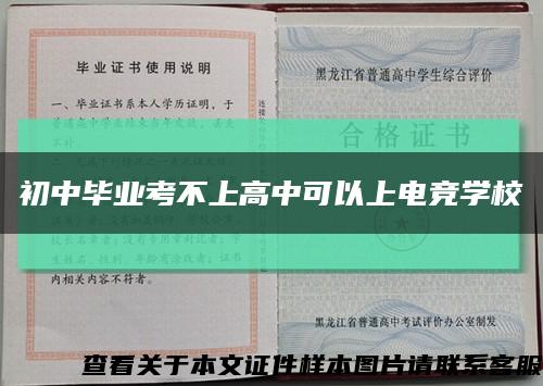 初中畢業考不上高中可以上電競學?？s略圖