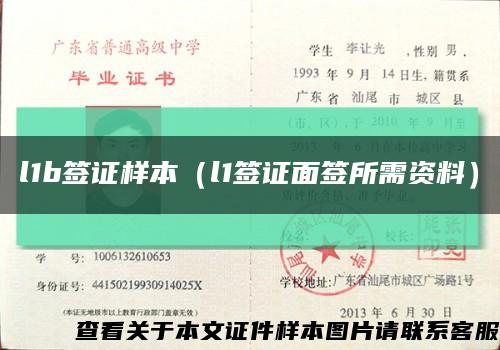 l1b簽證樣本（l1簽證面簽所需資料）縮略圖