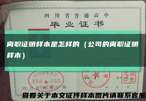 離職證明樣本是怎樣的（公司的離職證明樣本）縮略圖