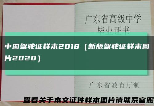 中國駕駛證樣本2018（新版駕駛證樣本圖片2020）縮略圖