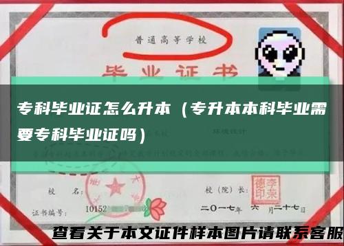 ?？飘厴I證怎么升本（專升本本科畢業需要?？飘厴I證嗎）縮略圖