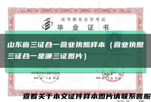 山東省三證合一營業執照樣本（營業執照三證合一是哪三證圖片）縮略圖