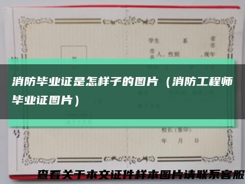 消防畢業證是怎樣子的圖片（消防工程師畢業證圖片）縮略圖