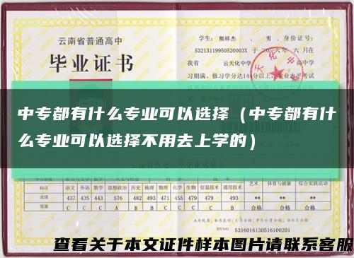 中專都有什么專業可以選擇（中專都有什么專業可以選擇不用去上學的）縮略圖