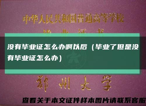沒有畢業證怎么辦啊以后（畢業了但是沒有畢業證怎么辦）縮略圖