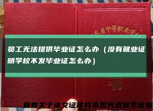 員工無法提供畢業證怎么辦（沒有就業證明學校不發畢業證怎么辦）縮略圖