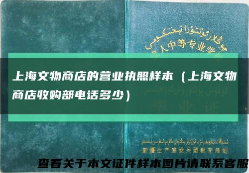 上海文物商店的營業執照樣本（上海文物商店收購部電話多少）縮略圖