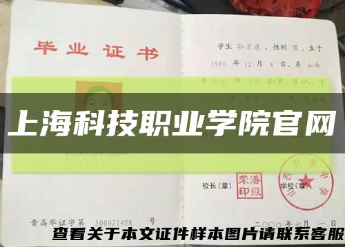 上?？萍悸殬I學院官網縮略圖