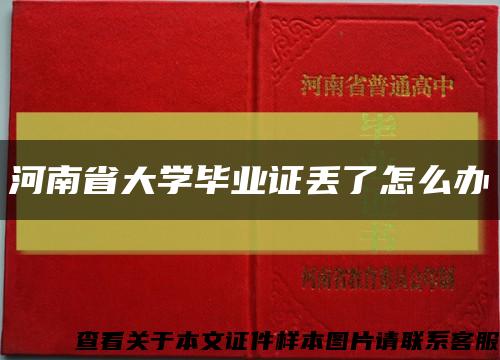 河南省大學畢業證丟了怎么辦縮略圖