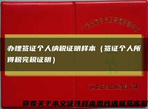 辦理簽證個人納稅證明樣本（簽證個人所得稅完稅證明）縮略圖