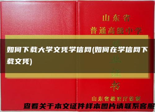 如何下載大學文憑學信網(如何在學信網下載文憑)縮略圖
