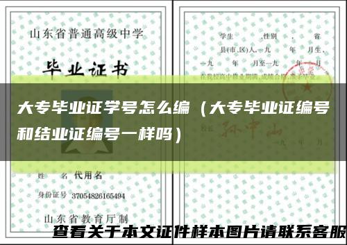 大專畢業證學號怎么編（大專畢業證編號和結業證編號一樣嗎）縮略圖