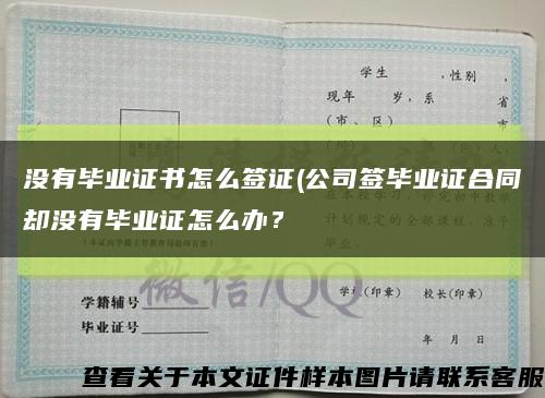 沒有畢業證書怎么簽證(公司簽畢業證合同卻沒有畢業證怎么辦？縮略圖