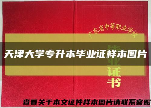天津大學專升本畢業證樣本圖片縮略圖