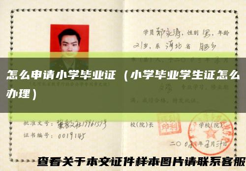 怎么申請小學畢業證（小學畢業學生證怎么辦理）縮略圖