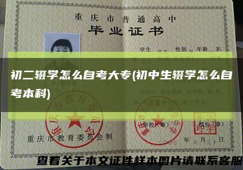 初二輟學怎么自考大專(初中生輟學怎么自考本科)縮略圖