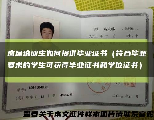 應屆培訓生如何提供畢業證書（符合畢業要求的學生可獲得畢業證書和學位證書）縮略圖