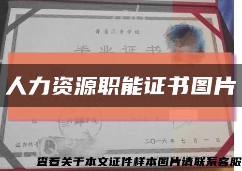 人力資源職能證書圖片縮略圖