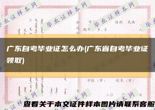 廣東自考畢業證怎么辦(廣東省自考畢業證領取)縮略圖
