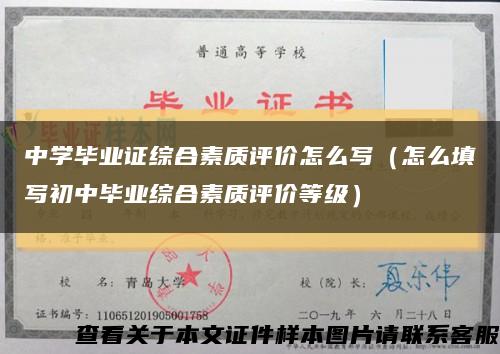 中學畢業證綜合素質評價怎么寫（怎么填寫初中畢業綜合素質評價等級）縮略圖