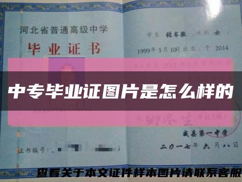 中專畢業證圖片是怎么樣的縮略圖