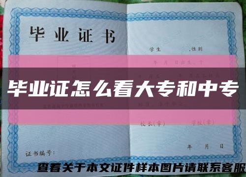 畢業證怎么看大專和中?？s略圖