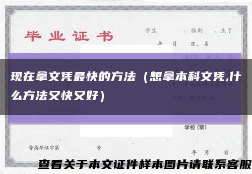 現在拿文憑最快的方法（想拿本科文憑,什么方法又快又好）縮略圖