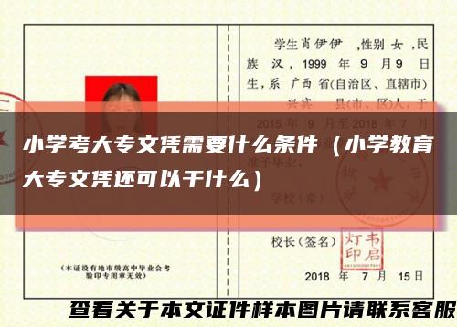 小學考大專文憑需要什么條件（小學教育大專文憑還可以干什么）縮略圖
