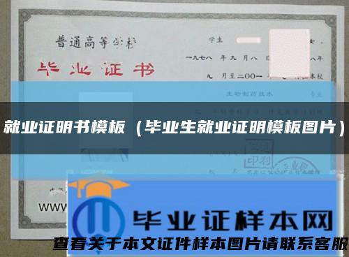 就業證明書模板（畢業生就業證明模板圖片）縮略圖