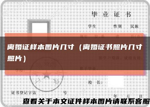 離婚證樣本圖片幾寸（離婚證書照片幾寸照片）縮略圖